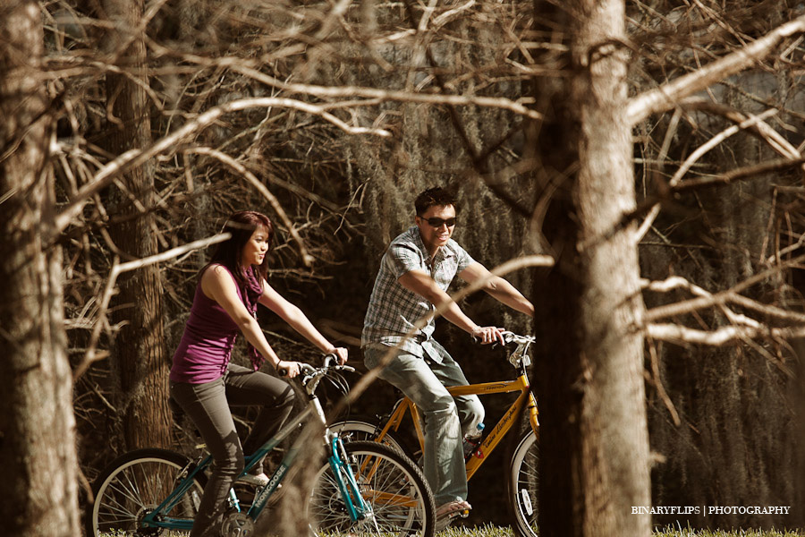 thru the trees