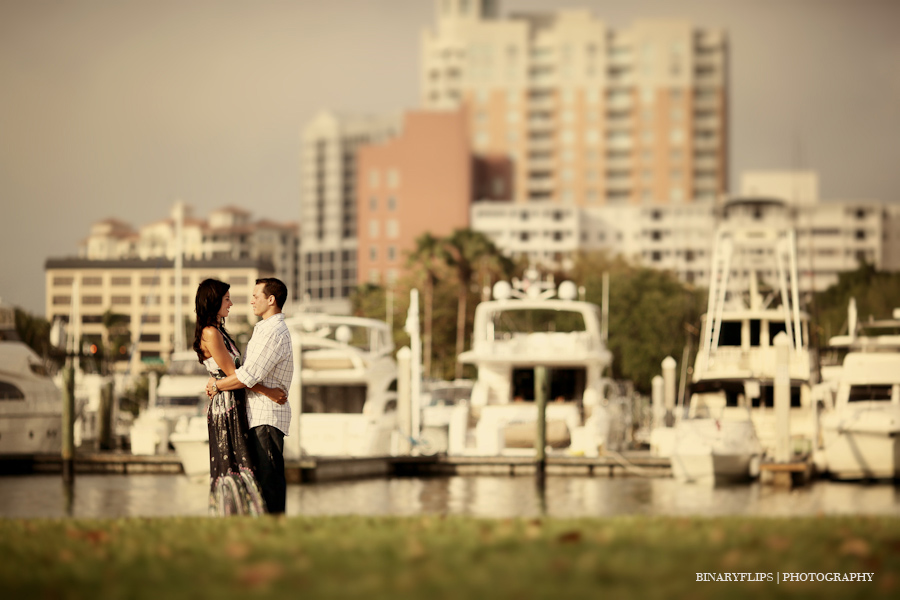 the dock