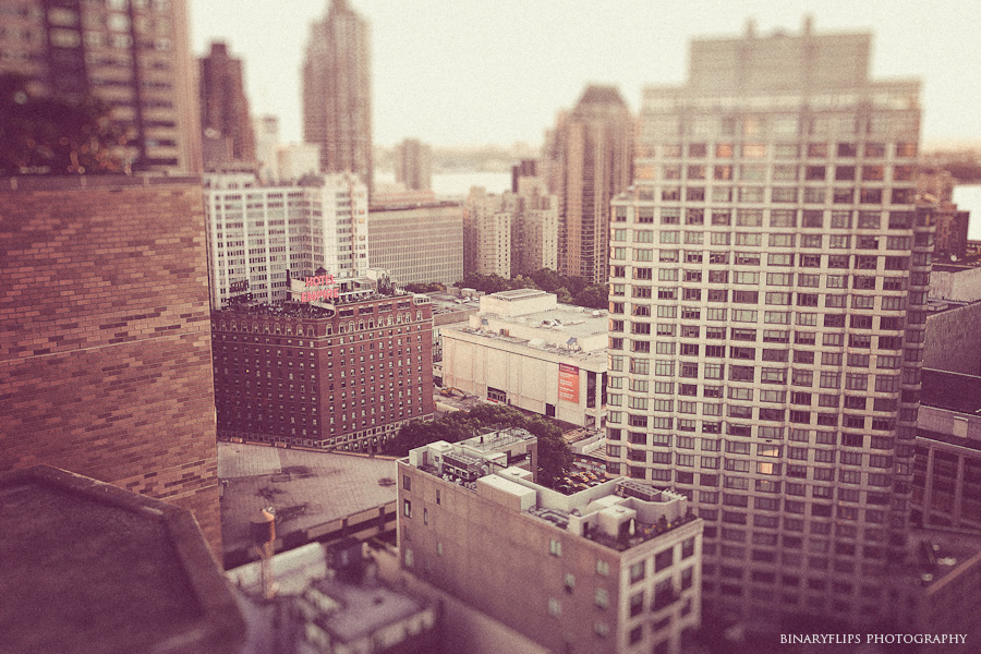 melanie & chris new york engagement