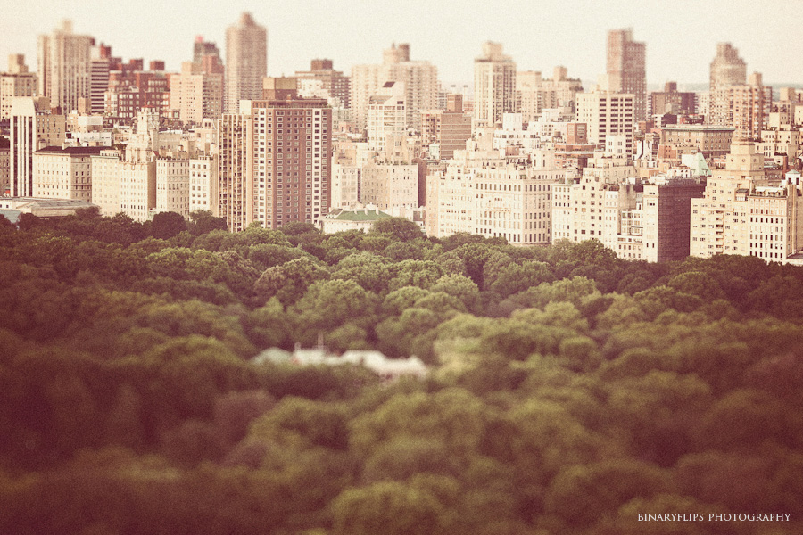 melanie & chris new york engagement