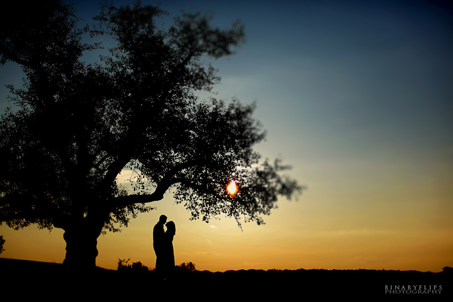 Kristina and Tim's Engagement Binaryflips Photography