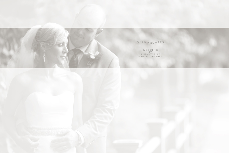 Diana & Alex Wedding Binaryflips Photography New York Connecticut Weddings