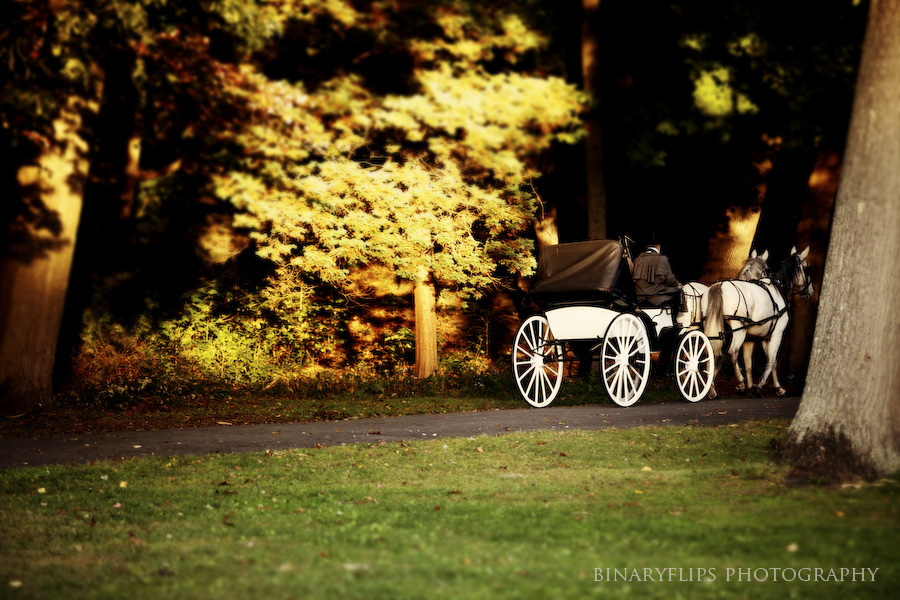img_7148-edit-edit