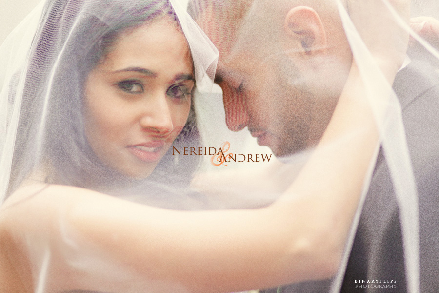 preview1