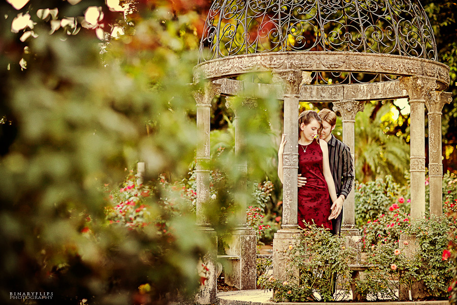 Orlando & Sarasota Engagement by Binaryflips