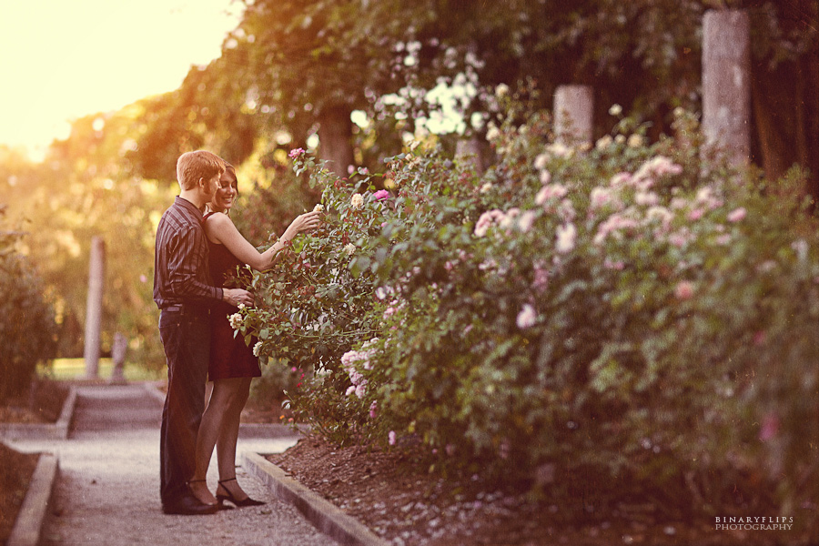 Orlando & Sarasota Engagement by Binaryflips