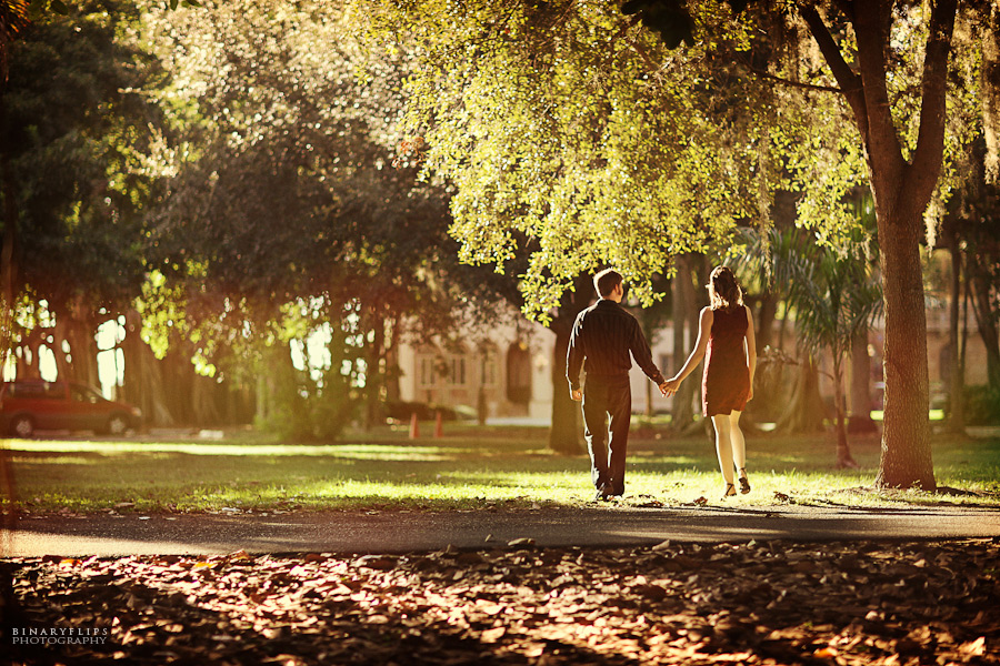 Orlando & Sarasota Engagement by Binaryflips