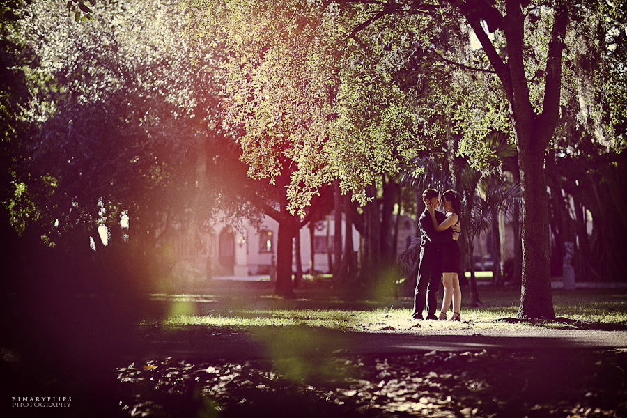 Orlando & Sarasota Engagement by Binaryflips
