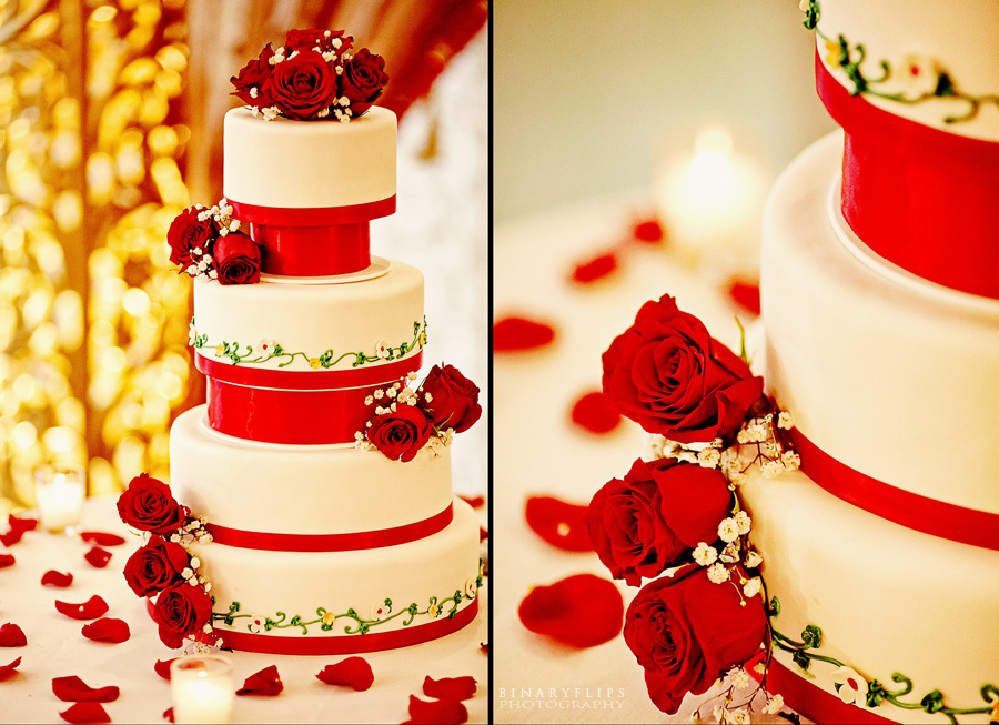 Tipsy & Vishal Wedding Long Island New York Binaryflips Photography