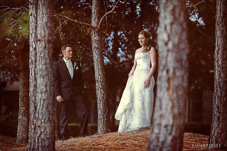 Anna & Brandon Wedding Windemere Orlando FL Binaryflips Photography