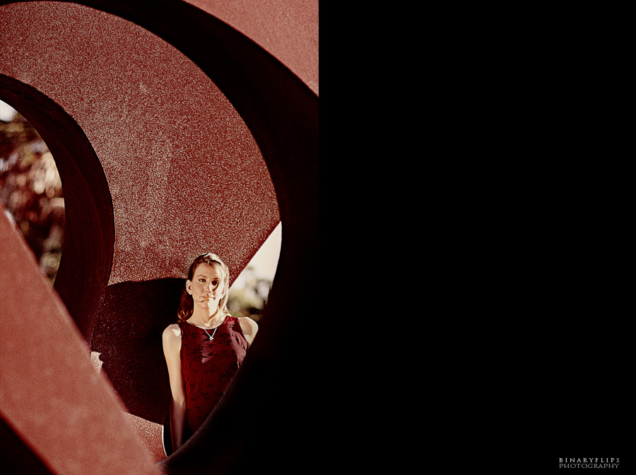 Orlando & Sarasota Engagement by Binaryflips