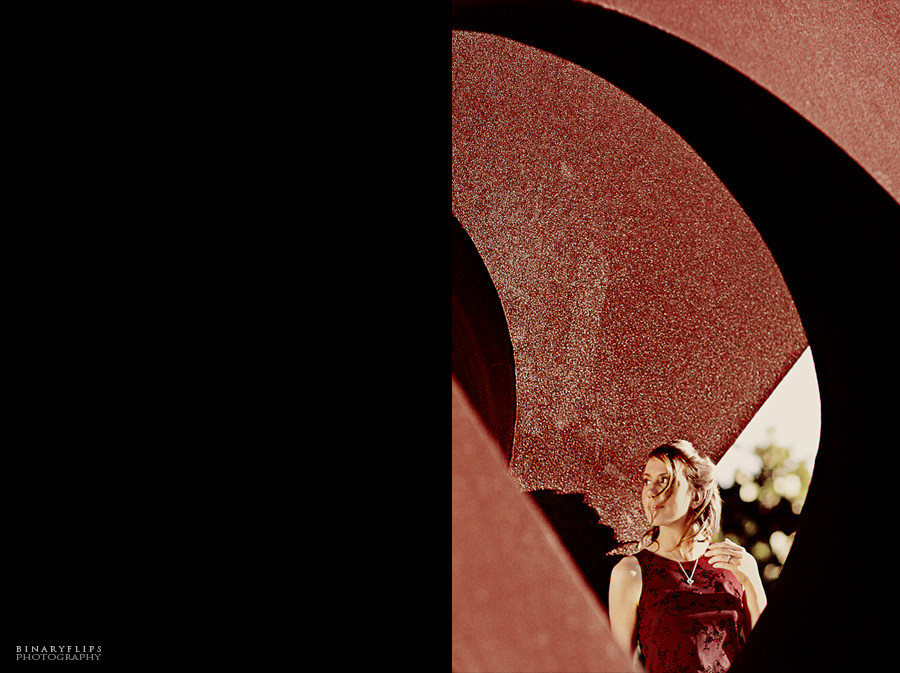 Orlando & Sarasota Engagement by Binaryflips