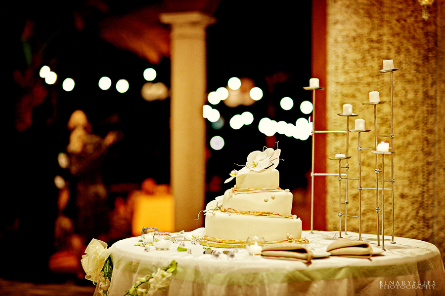 Courtney & Damien's Wedding Binaryflips Orlando Photography